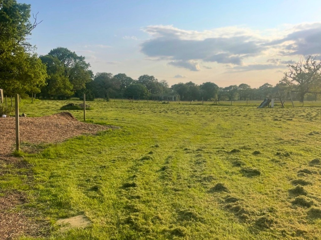 Lot: 83 - DEVELOPMENT SITE WITH OUTLINE PLANNING FOR THREE DETACHED SELF-BUILD DWELLINGS - Land with grass and fenced boundary